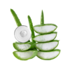 Aloe Vera Gel | AJ Wellness India