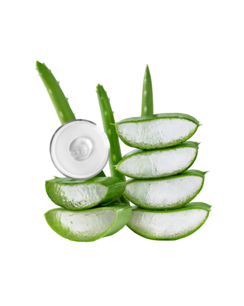 Aloe Vera Gel | AJ Wellness India