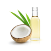 Virgin Coconut Oil | AJ Wellness India