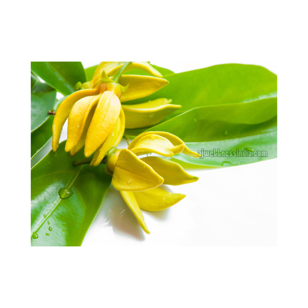 Ylang Ylang Face Wash