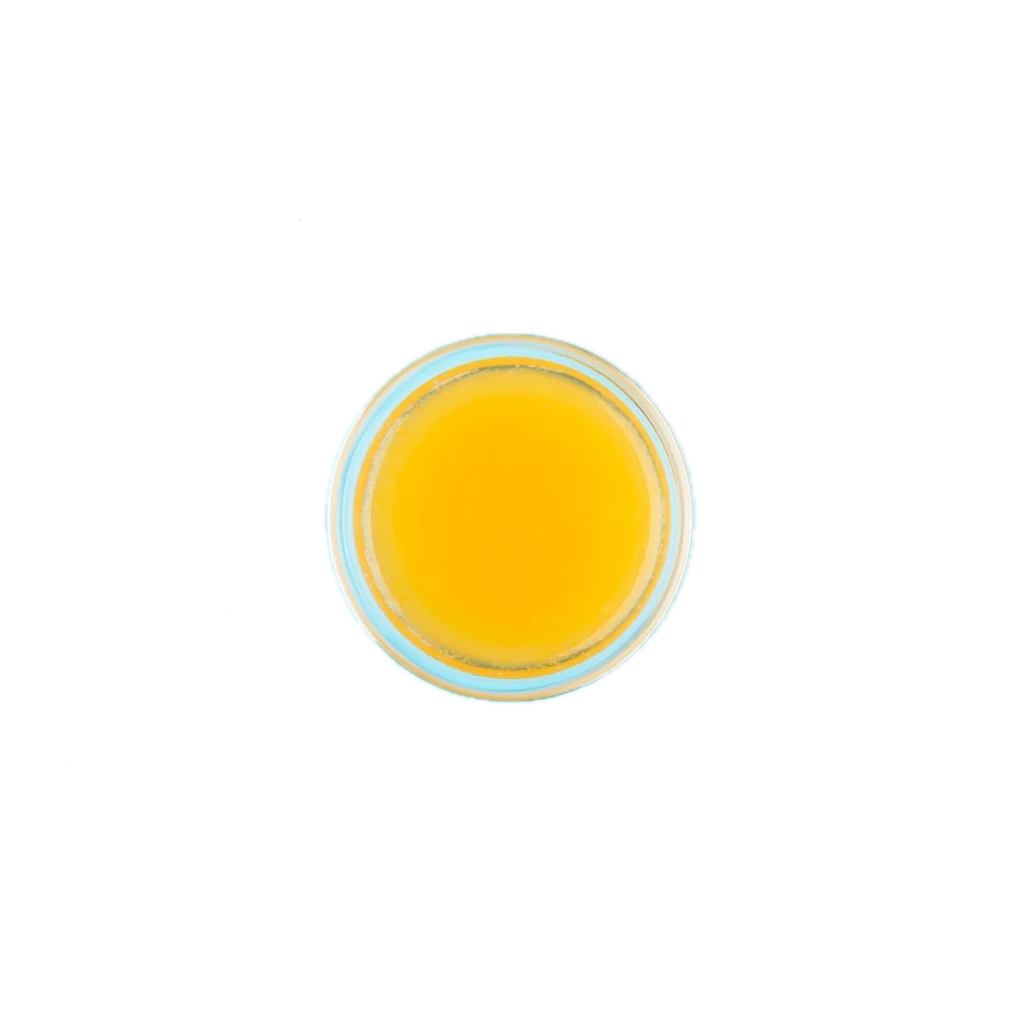 Lip Balm | AJ Wellness India