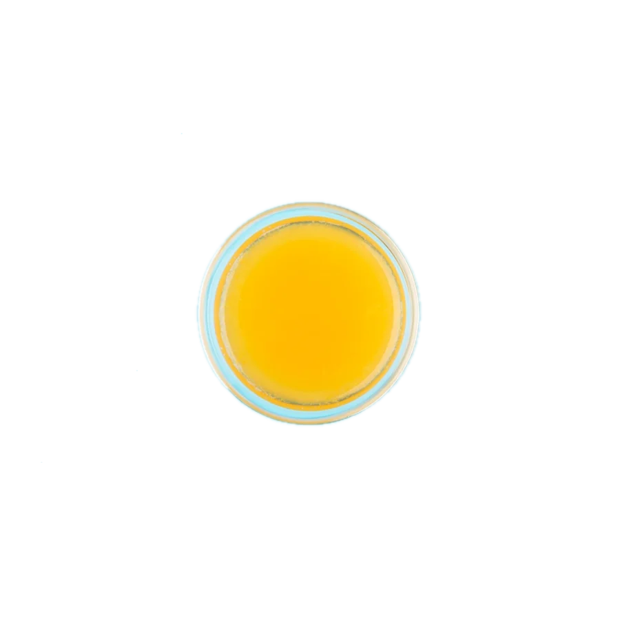 Lip Balm | AJ Wellness India